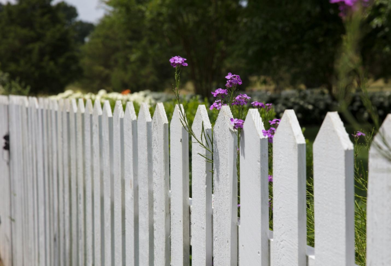 Fencing Options That Can Add Value to Your Property
